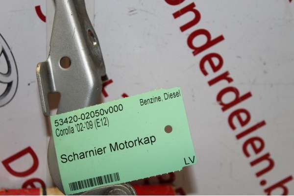 Scharnier Motorkap