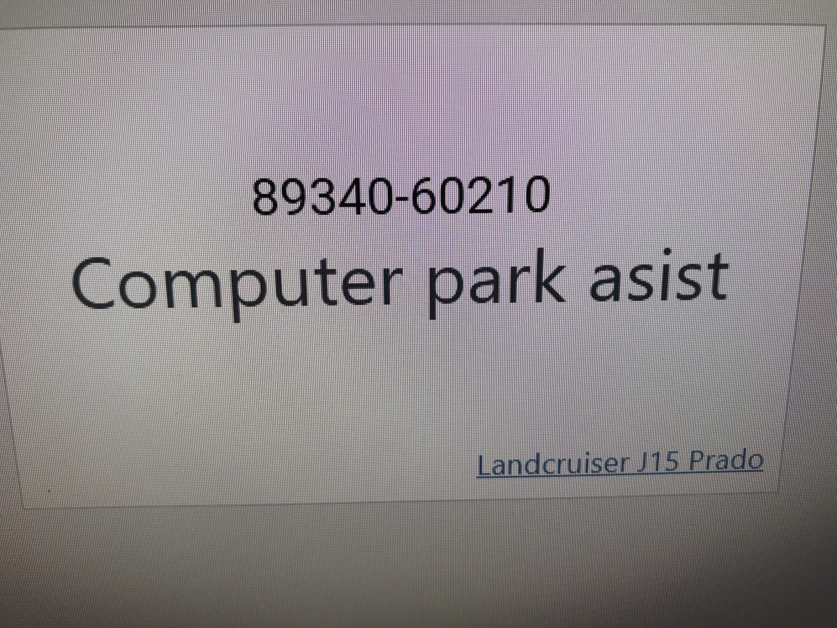 Computer park asist