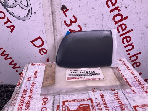 Sierstrip rechter voorvleugel
