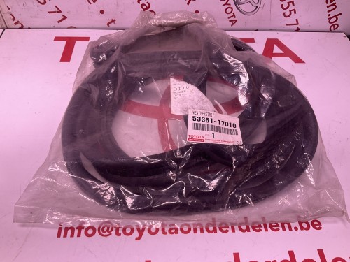 Rubberstrip  hood voor 