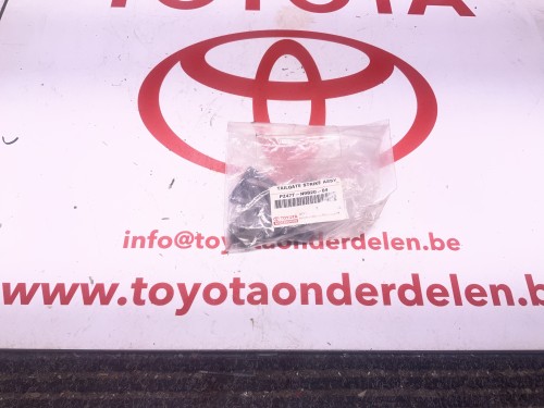 Slotplaat achterklep  origineel nieuw 